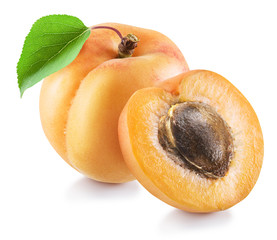 Ripe apricot fruit and apricot half. File contains clipping path.