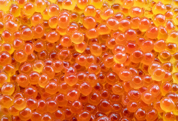 Red caviar close-up. Food background.