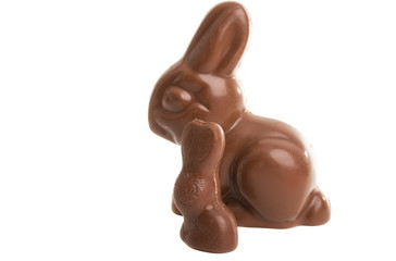 chocolate bunny isolated
