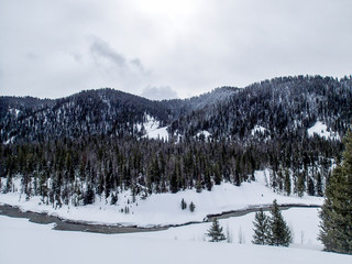 Snowy River Landscape in Jackson, Wyoming