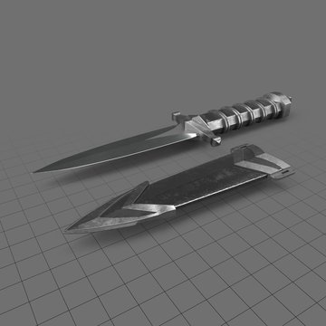 Dagger with sheath 1