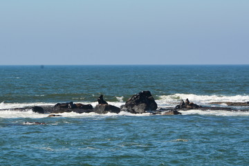 Fototapeta premium torres- rs