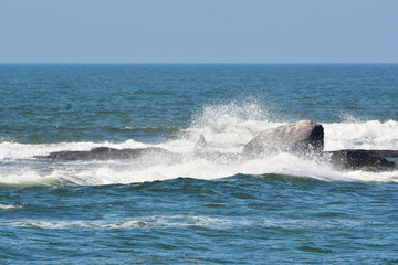Fototapeta premium torres- rs