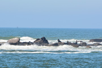 Fototapeta premium torres- rs