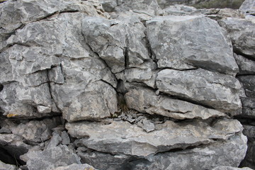 Carstic wedged rocks