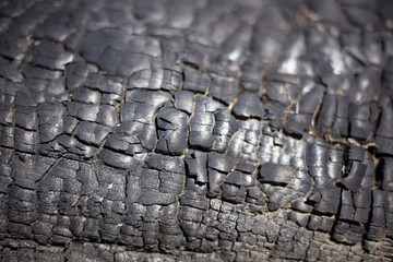Charcoal burnt wood. Texture of charred tree bark. Black background. Coal reflects light. Coal...