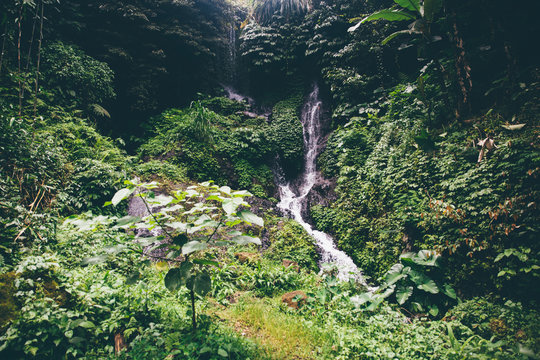 Gitgit waterfall at Bali, Indonesia