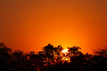 Sunset in Africa 1