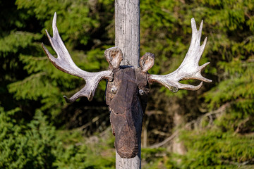 Elch Skulptur aus Holz