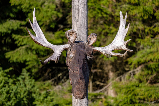 Elch Skulptur aus Holz