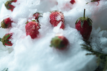 Frozen strawberries in the snow and ice