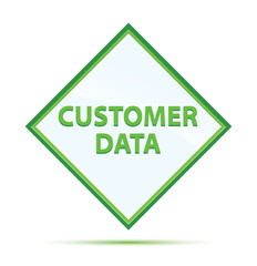 Customer Data modern abstract green diamond button