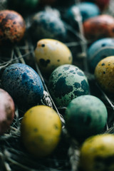 Quail Easter eggs in a basket on the hay. Easter concept