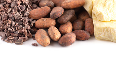 Rows of Chocolate Nibs Cocoa Beans and Cocoa Butter on a White Background