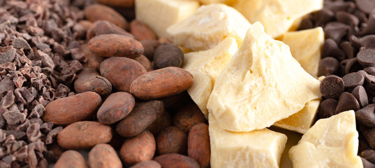 Background of Rows of Chocolate Nibs Cocoa Beans Cocoa Butter and Chocolate Chips