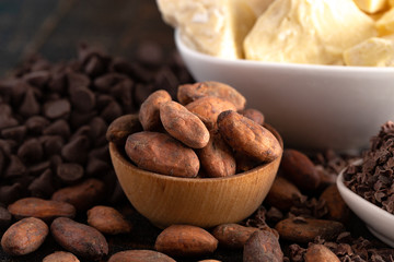 Stages of Chocolate Production Cocoa Nibs Cocoa Butter Cocoa Beans and Chocolate Chips