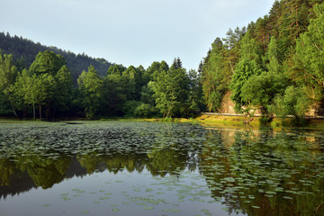 Kokorinsko, Stribrnik pond