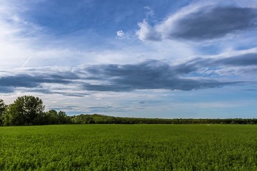 Obraz premium In the light of colours