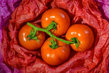 Tomatoes on red paper