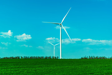 Fototapeta premium wind turbines in green field