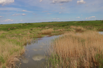 Beautiful landscape with small lake and cloudy sky