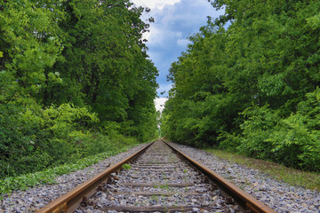 Railway going through the beautiful green forest