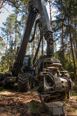forestry harvester during a stoppage among trees