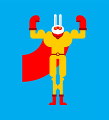 Hare superhero. Super rabbit in mask and raincoat. Strong bunny