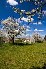 Spring landscape with traditional old rural house