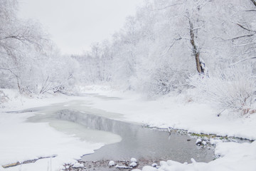 Winter landscape in cloudy weather. Winter Park.