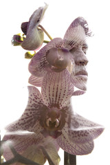 Double exposure of a young statuesque man’s portrait blended with delicate petals of a purple and white orchid flower