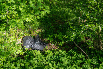 Garbage bags lying carelessly thrown away in the forest