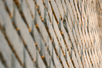 Brick wall sunlit. Abstract background