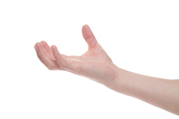 Empty male hand making gesture like holding something isolated on white background.