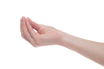 Empty male hand making gesture like holding something isolated on white background.
