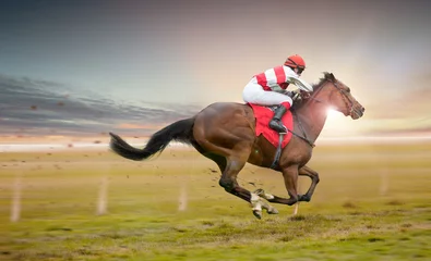 Wandaufkleber Rennpferd mit Jockey auf der Zielgeraden. Rasiereffekt. © Lukas Gojda