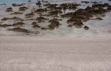 Stones and rocks at the beach in Tonga