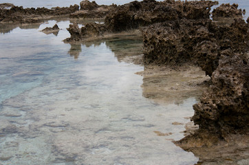 Rocks at the beach in Tonga