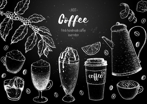 Coffee cups, beans and coffee tree illustration. Vintage design for coffee shop. Engraved vector illustration