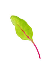 Raw green leaves on a white isolated background