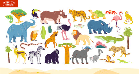 Vector flat illustration of Africa animals, desert, plants: elephant, rhino, monkey, zebra, crocodile, flamingo, turtle, palm tree, cactus etc. For children alphabet, infographics, book, banner, tag.