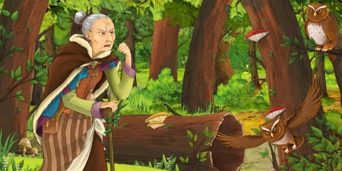 Obraz na płótnie Canvas cartoon scene with happy old woman witch sorceress in the forest encountering pair of owls flying - illustration for children