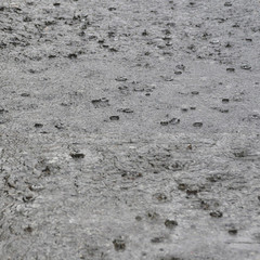 raindrops on asphalt road during heavy rain. rain drops background