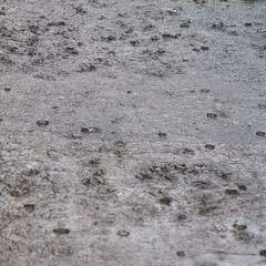 raindrops on asphalt road during heavy rain. rain drops background