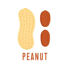 Peanut icon. isolated on white background