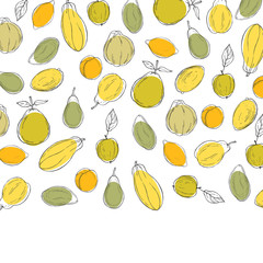 Hand drawn fruits on white background. Vector  background.