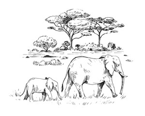 Sketch of the African savanna with trees and elephants. Hand drawn illustrtion converted to vector. © aksol