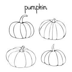 Doodle vector set with pumpkins. Four linear drawing of gourd.