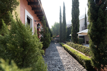 courtyard with green plants and colorful walls