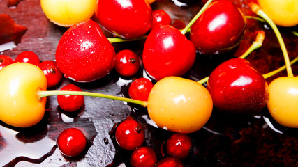 Red and yellow cherries in water drops. Fresh cherries on dark background. Washed cherries before cooking